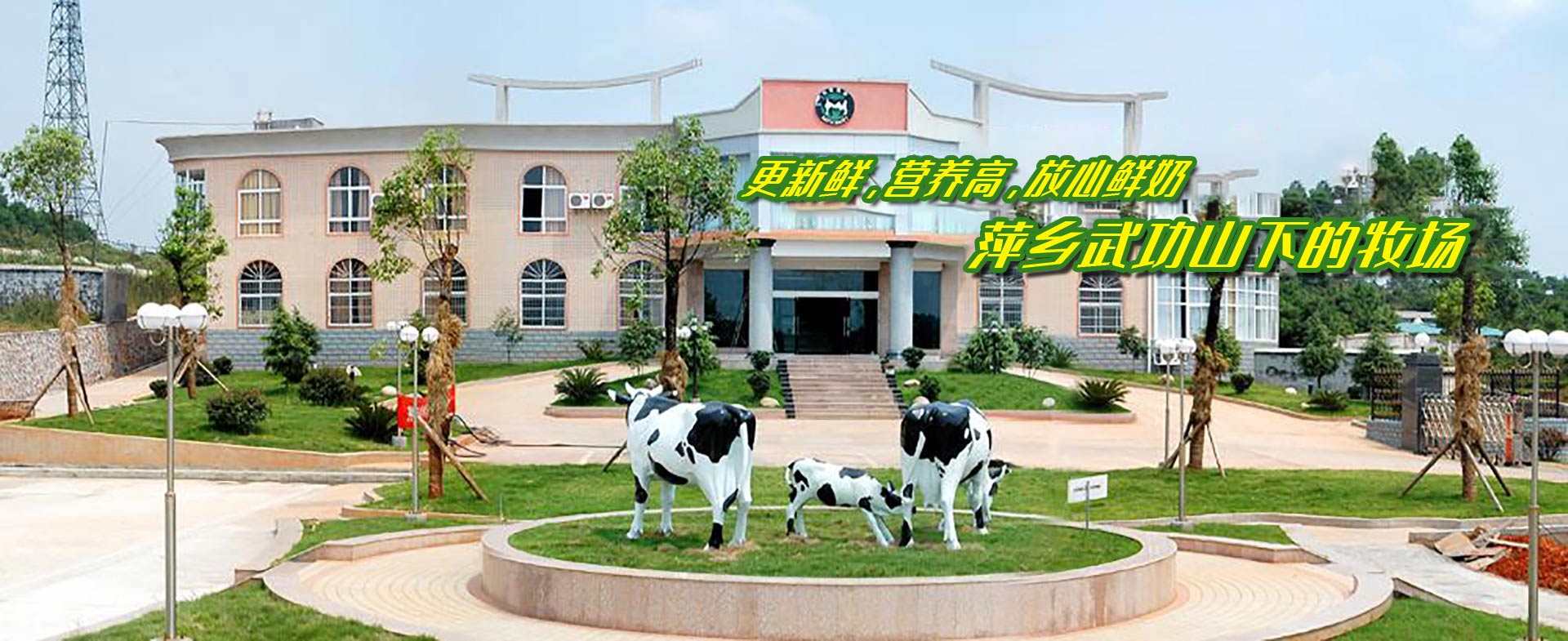 ̩����̩���̲������޹�˾