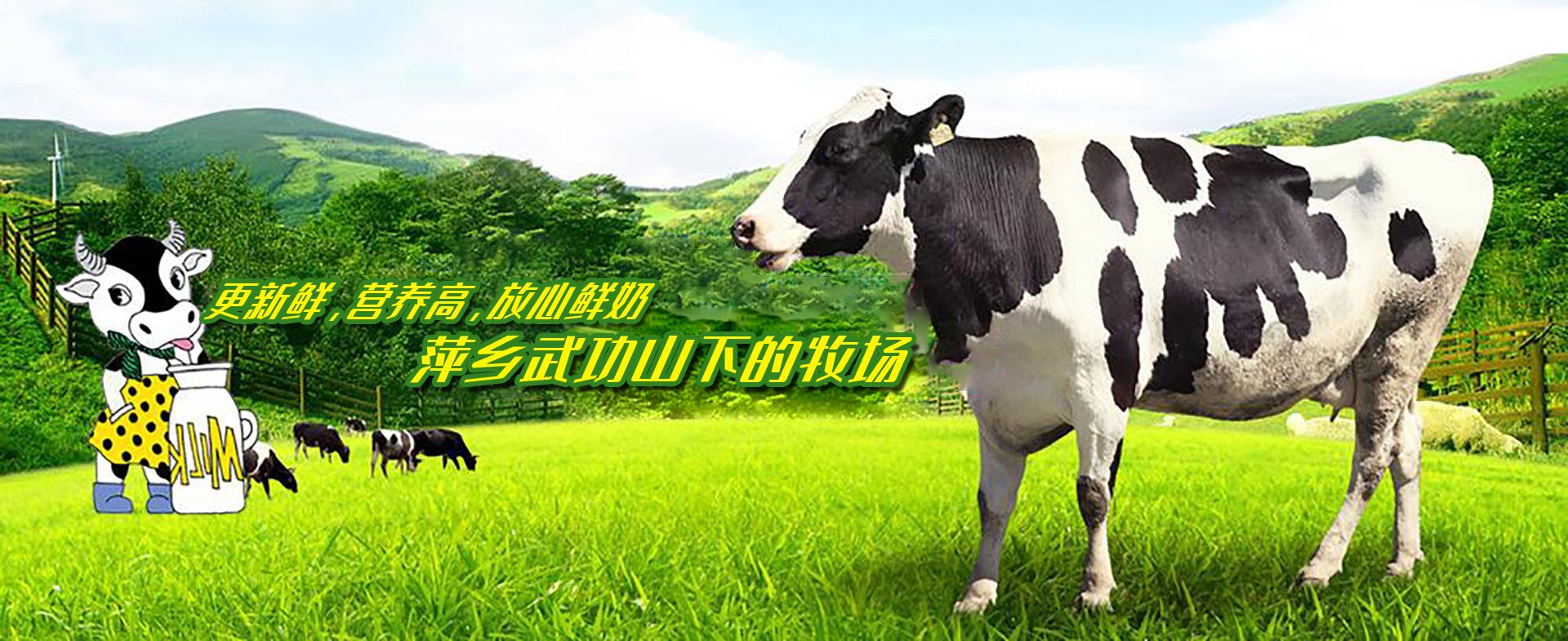 ̩����̩���̲������޹�˾